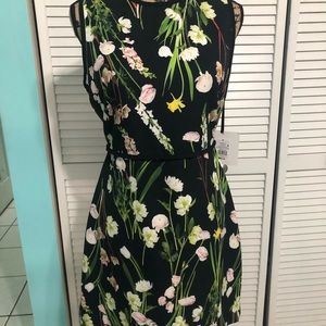 Victoria Beckham dress